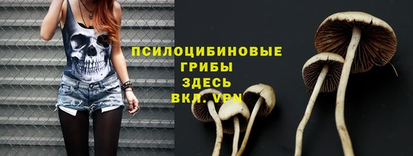 таблы Алзамай